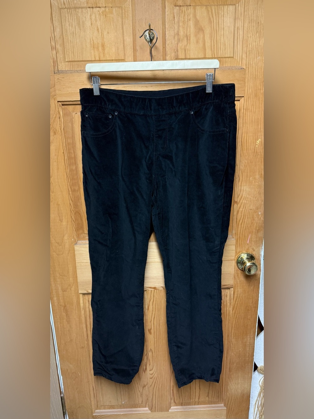 JAG Pull-On High Rise Skinny Velvet Pants, Black, Size 14